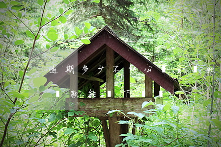 逾期多少不能公積金貸款(有逾期住房公積金貸款能貸下來嗎)