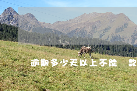 逾期多少天以上不能貸款(一般可以逾期多久)
