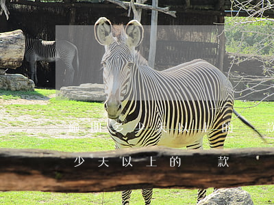 逾期多少天以上的貸款會納入不良-逾期多少天以上的貸款會納入不良?