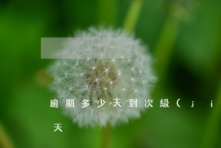 逾期多少天到次級(jí)貸款(貸款逾期幾天)
