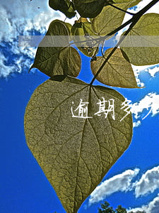 逾期多少天可以起诉(逾期多少天可以起诉)