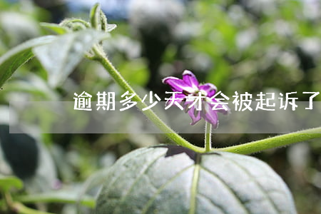 逾期多少天才会被起诉了（逾期多久起诉最好）