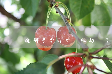 逾期多少天才會被起訴了（逾期多久起訴最好）
