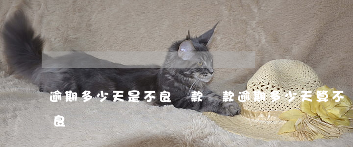 逾期多少天是不良貸款(貸款逾期多少天算不良記錄)
