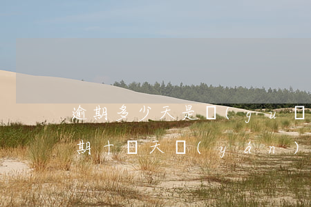 逾期多少天是關(guān)注貸款(貸款逾期十幾天嚴(yán)重嗎)
