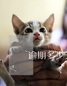 逾期多少天會打官司(逾期幾天會起訴)