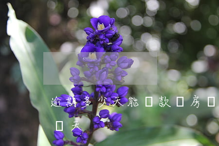 逾期多少天能貸款買房嗎(每月房貸可以逾期幾天)
