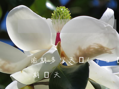 逾期多少天關(guān)注類貸款(貸款逾期幾天)