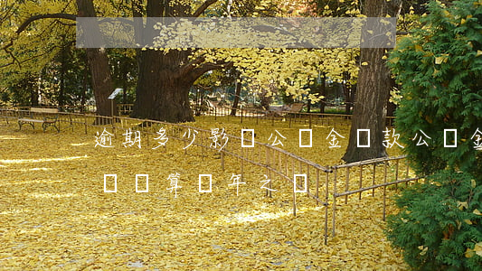 逾期多少影響公積金貸款(公積金貸款有逾期記錄算幾年之內)