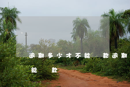 逾期多少才不能貸款(逾期金額超過多少就不能貸款)
