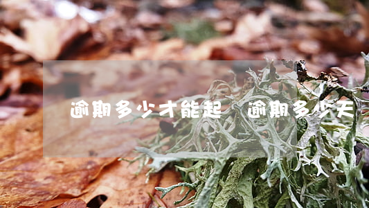 逾期多少才能起訴(逾期多少天會起訴)
