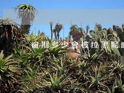 逾期多少會被拉黑呢(逾期多少會立案)