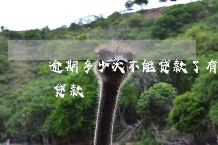 逾期多少次不能贷款了(有多次逾期如何才能贷款)