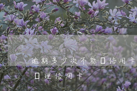 逾期多少次不能辦信用卡(信用卡逾期多久能辦理信用卡)