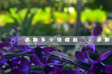逾期多少法院起訴-逾期多久可以被起訴