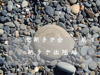逾期多少金額一般才會(huì)起訴-逾期多少法院起訴
