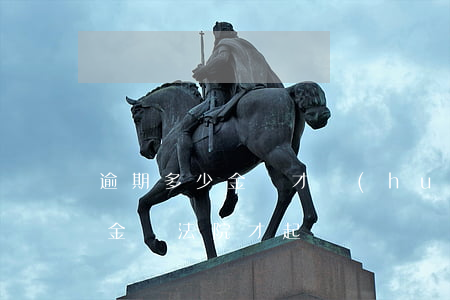逾期多少金額才會(huì)起訴(逾期多大金額法院才起訴)