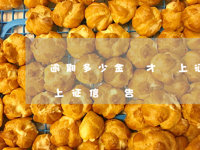 逾期多少金額才會上征信 逾期多少金額才會上征信報告
