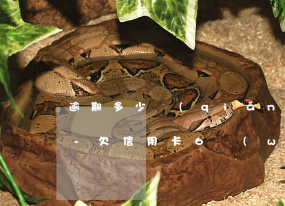 逾期多少錢(qián)會(huì)坐牢-欠信用卡6萬(wàn)坐牢親身經(jīng)歷