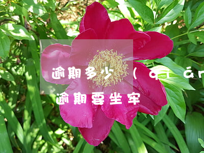 逾期多少錢(qián)會(huì)坐牢(逾期要坐牢嗎)