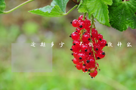 逾期多少錢不能貸款(什么樣的逾期不能貸款)