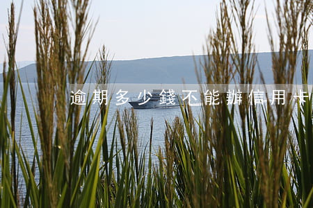 逾期多少錢不能辦信用卡(信用卡幾元錢逾期)