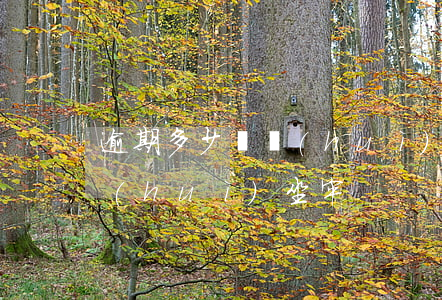逾期多少錢會(huì)坐牢(逾期多少錢會(huì)坐牢)