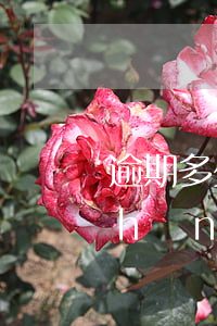 逾期多少錢為不良-年費(fèi)產(chǎn)生的不良逾期怎么處理