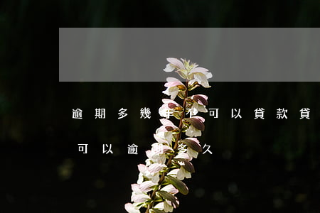 逾期多幾年不可以貸款(貸款暫時還不上最多可以逾期多久)