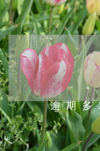 逾期多次被法院起訴(逾期被起訴后)