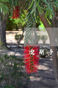 逾期多次還清后再逾期，如何處理？