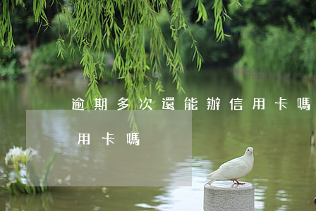 逾期多次還能辦信用卡嗎(逾期過還可以辦信用卡嗎)