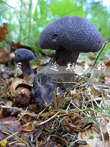 逾期多的能貸哪個網(wǎng)貸(多家網(wǎng)貸逾期可以貸哪個口子)