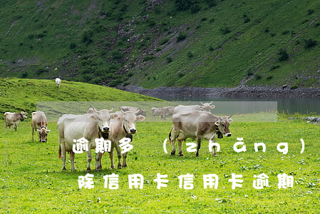 逾期多長(zhǎng)時(shí)間扣除信用卡(信用卡逾期幾個(gè)小時(shí))