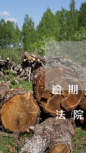 逾期多長時(shí)間會(huì)收到法院傳票(逾期被起訴收到法院傳票必須要去嗎?)