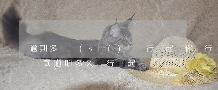 逾期多長時(shí)間銀行會起訴你 銀行貸款逾期多久銀行會起訴