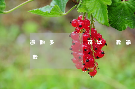 逾期多長時間可以貸款(逾期多長時間可以貸款)