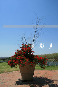 逾期多長時間可以起訴 逾期多久可以起訴