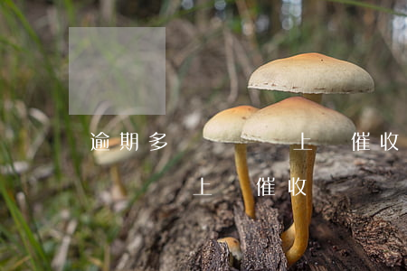 逾期多長時間會上門催收-信用卡逾期多長時間會上門催收