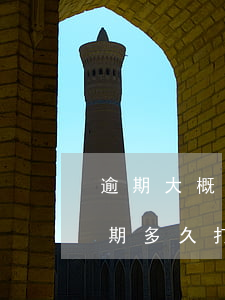 逾期大概銀行什么時候打電話給你-銀行逾期多久打電話