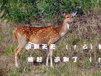 逾期天天發(fā)短信說(shuō)事被起訴 逾期了發(fā)短信說(shuō)我被起訴了