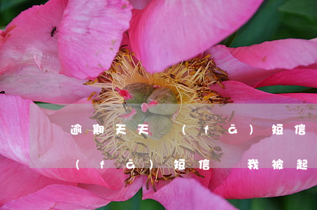 逾期天天發(fā)短信說起訴我 逾期了發(fā)短信說我被起訴了
