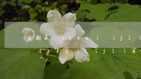 逾期天數(shù)計(jì)算器(逾期天數(shù)計(jì)算公式)
