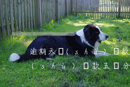 逾期天數(shù)貸款五級分類(逾期天數(shù)貸款五級分類)