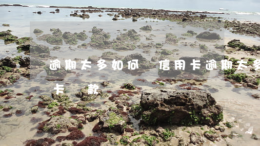 逾期太多如何辦信用卡(逾期太多如何辦信用卡貸款)