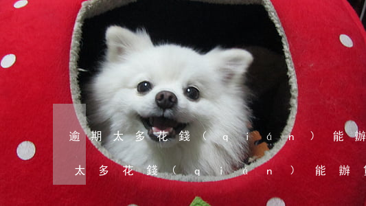逾期太多花錢(qián)能辦貸款嗎(逾期太多花錢(qián)能辦貸款嗎)