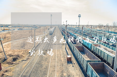逾期太多花钱能办贷款吗(逾期太多花钱能办贷款吗)