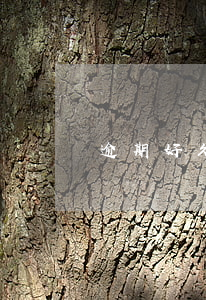 逾期好久可以貸款嗎(貸款逾期幾小時嚴重嗎)