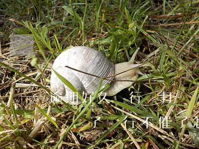 逾期好久銀行沒打電話來是好事嗎-逾期時間長了,銀行不催了怎么回事