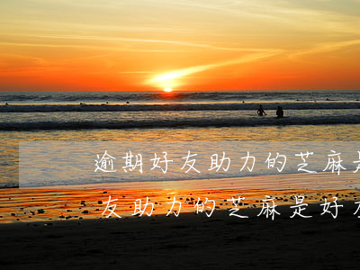 逾期好友助力的芝麻是好友送的嗎-逾期好友助力的芝麻是好友送的嗎安全嗎